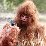 Sasquatch found a two way radio